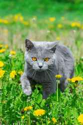 Similar image 22068149