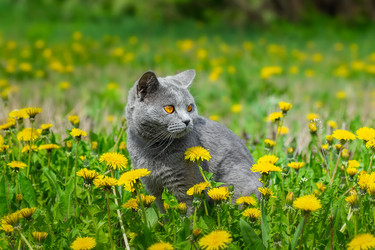 Similar image 22068151