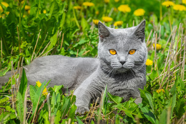 Similar image 22068153