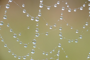 Similar image 22068158