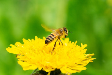 Similar image 22068159