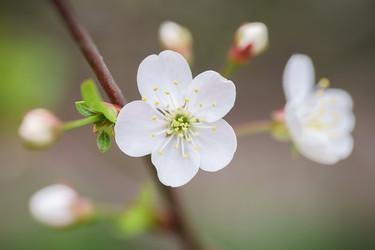 Similar image 22068160