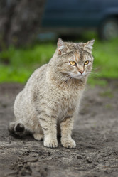 Similar image 22068161