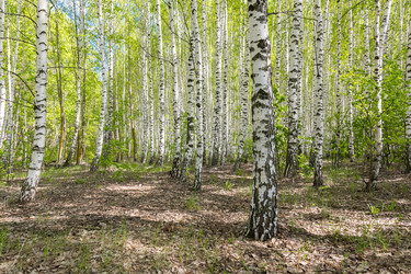 Similar image 22068164