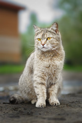 Similar image 22068165