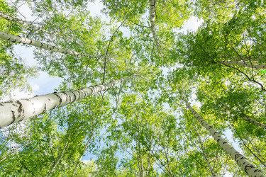 Similar image 22068169