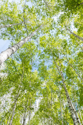 Similar image 22068170