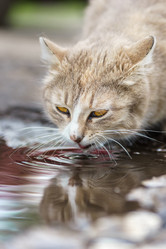 Similar image 22068171