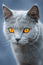 Similar image 22068172