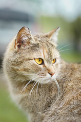 Similar image 22068179