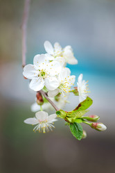 Similar image 22068303