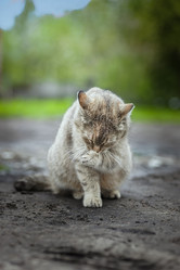 Similar image 22068304