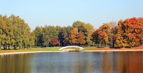 Similar image 22066441