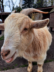 Similar image 22077044