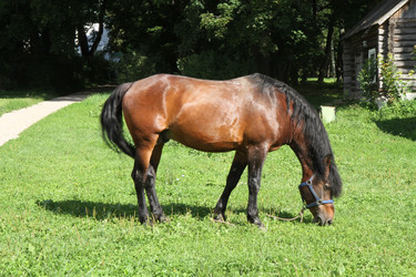 Similar image 22066615