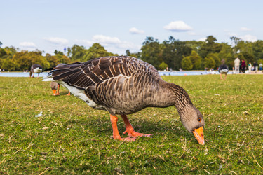 Similar image 22070397