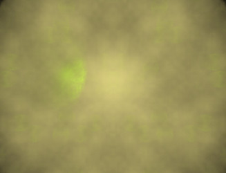 Similar image 22069162