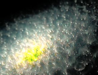 Similar image 22069171