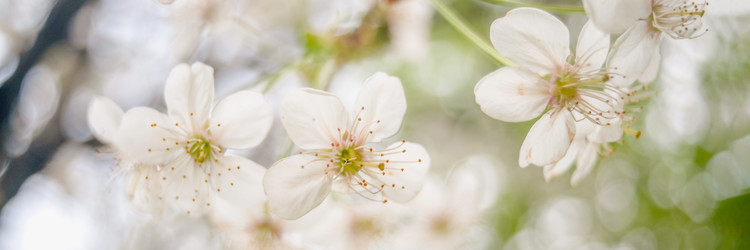 Similar image 22066883