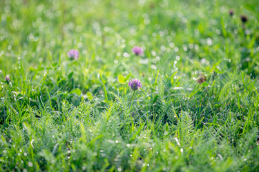 Similar image 22066884