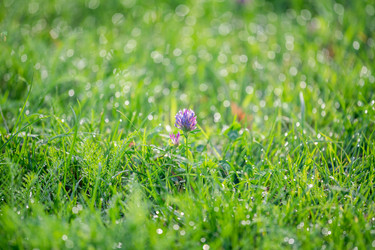 Similar image 22066885