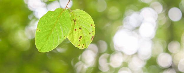 Similar image 22066886