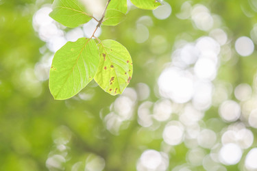 Similar image 22066887