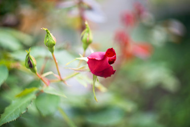 Similar image 22066888