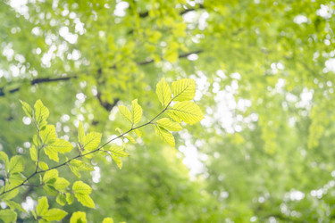 Similar image 22066889