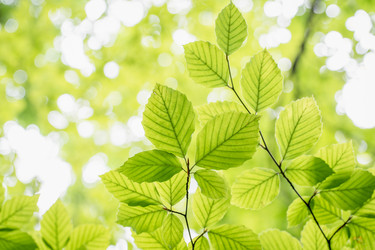 Similar image 22066890