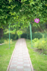 Similar image 22066891