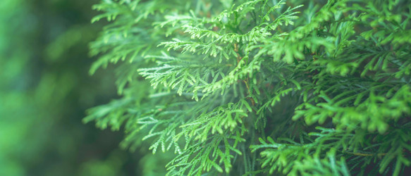 Similar image 22066892