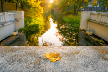 Similar image 22066895