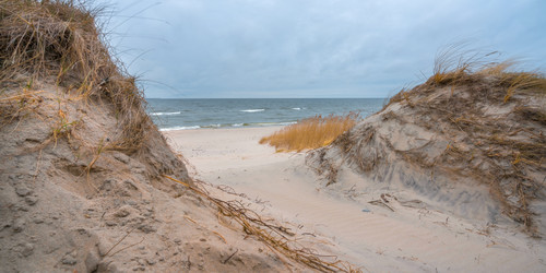 Similar image 22066902