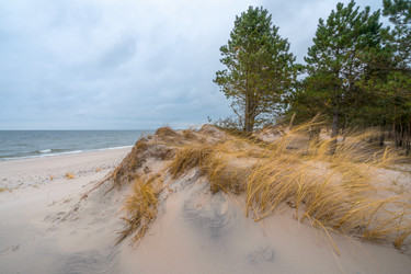 Similar image 22066904