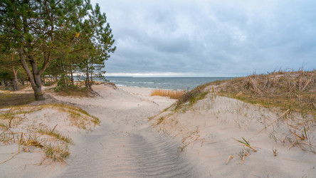 Similar image 22067150