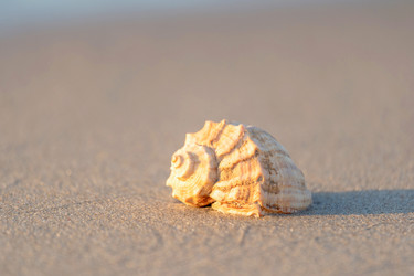 Similar image 22067151