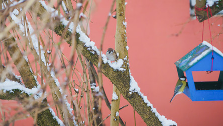 Similar image 22067152