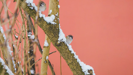 Similar image 22067153