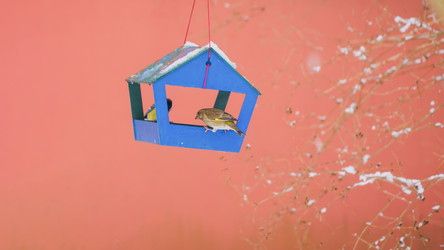 Similar image 22067154