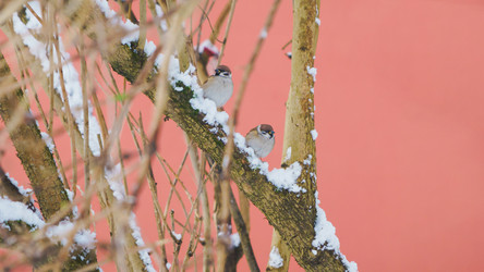 Similar image 22067156