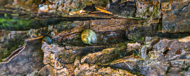 Similar image 22067157