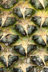 Similar image 22070398