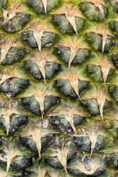 Similar image 22070399