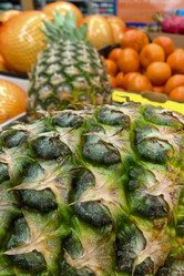 Similar image 22070400