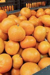 Similar image 22070402