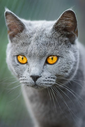 Similar image 22067399