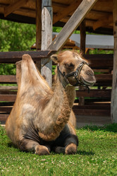 Similar image 22067402