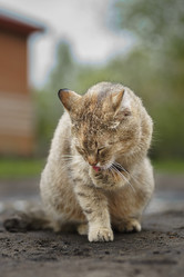 Similar image 22067408