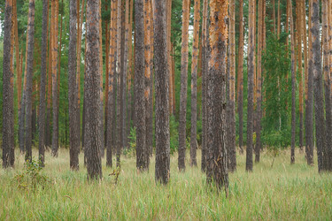 Similar image 22067411